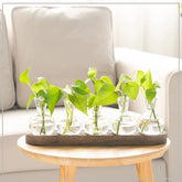 Wooden Tray Hydroponic Glass Vase